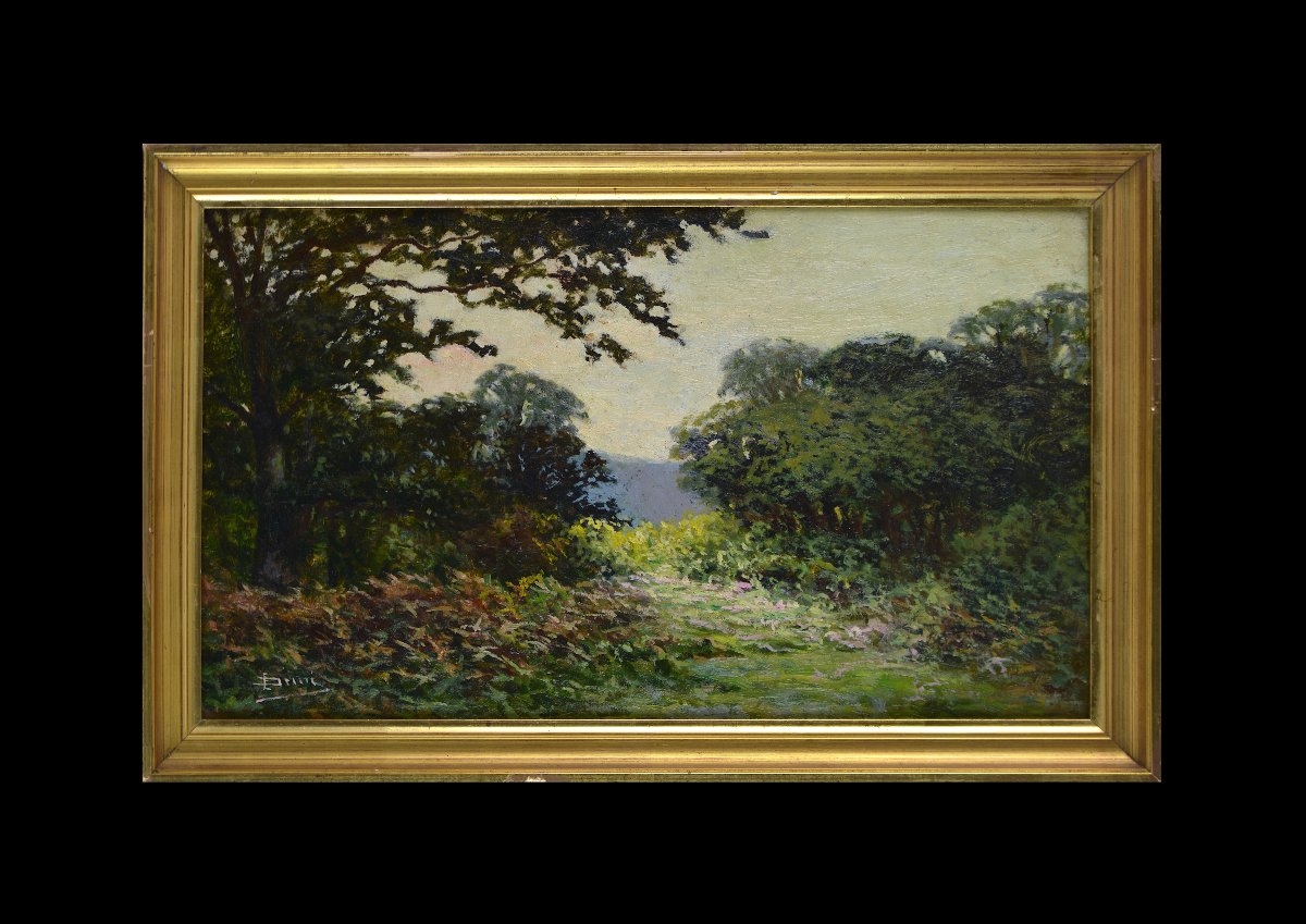 émile Demé, 19th/20th Century. “cornouillers Forest Near Tarbes.”-photo-2