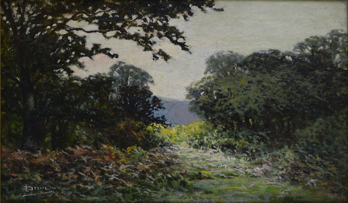 émile Demé, 19th/20th Century. “cornouillers Forest Near Tarbes.”-photo-3