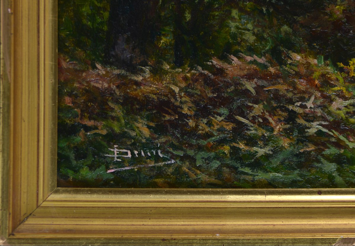 émile Demé, 19th/20th Century. “cornouillers Forest Near Tarbes.”-photo-4