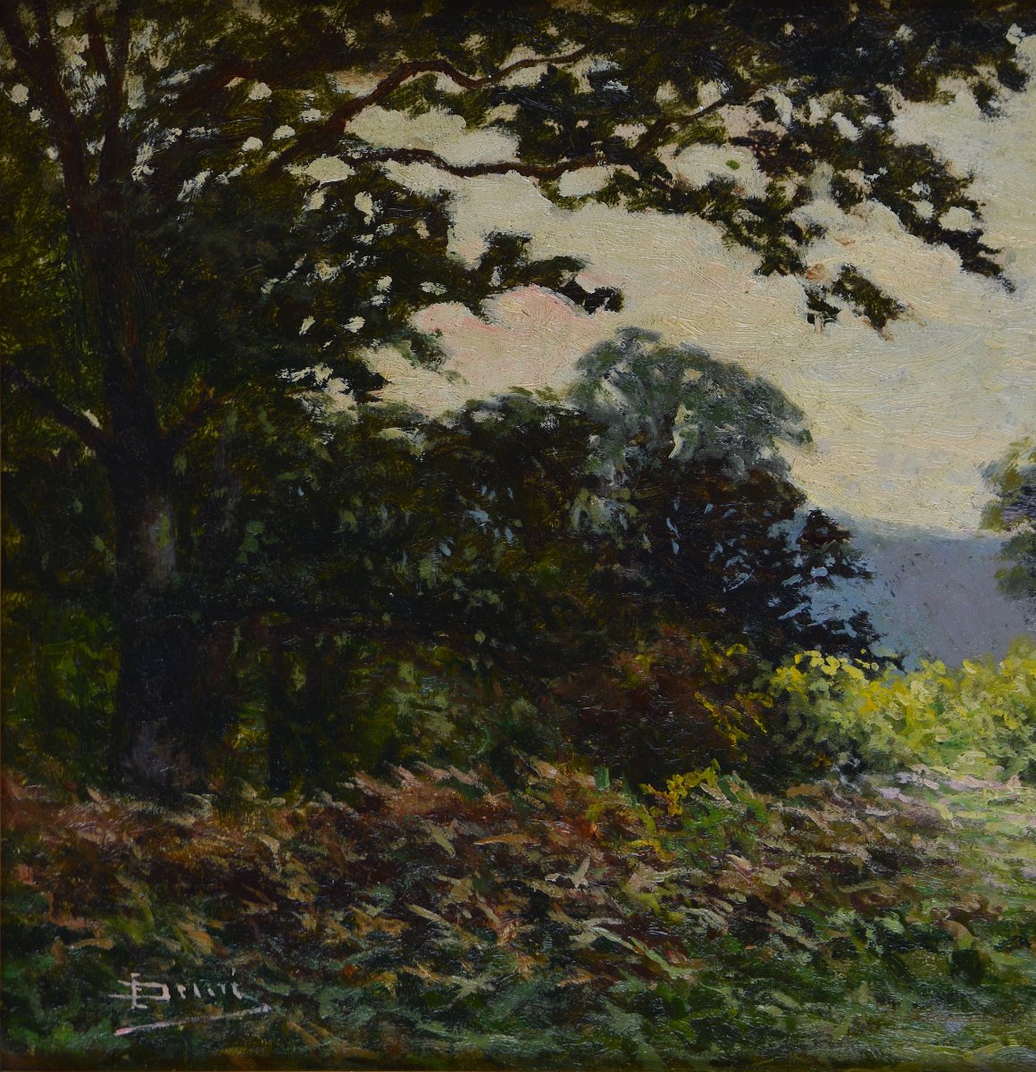émile Demé, 19th/20th Century. “cornouillers Forest Near Tarbes.”-photo-1