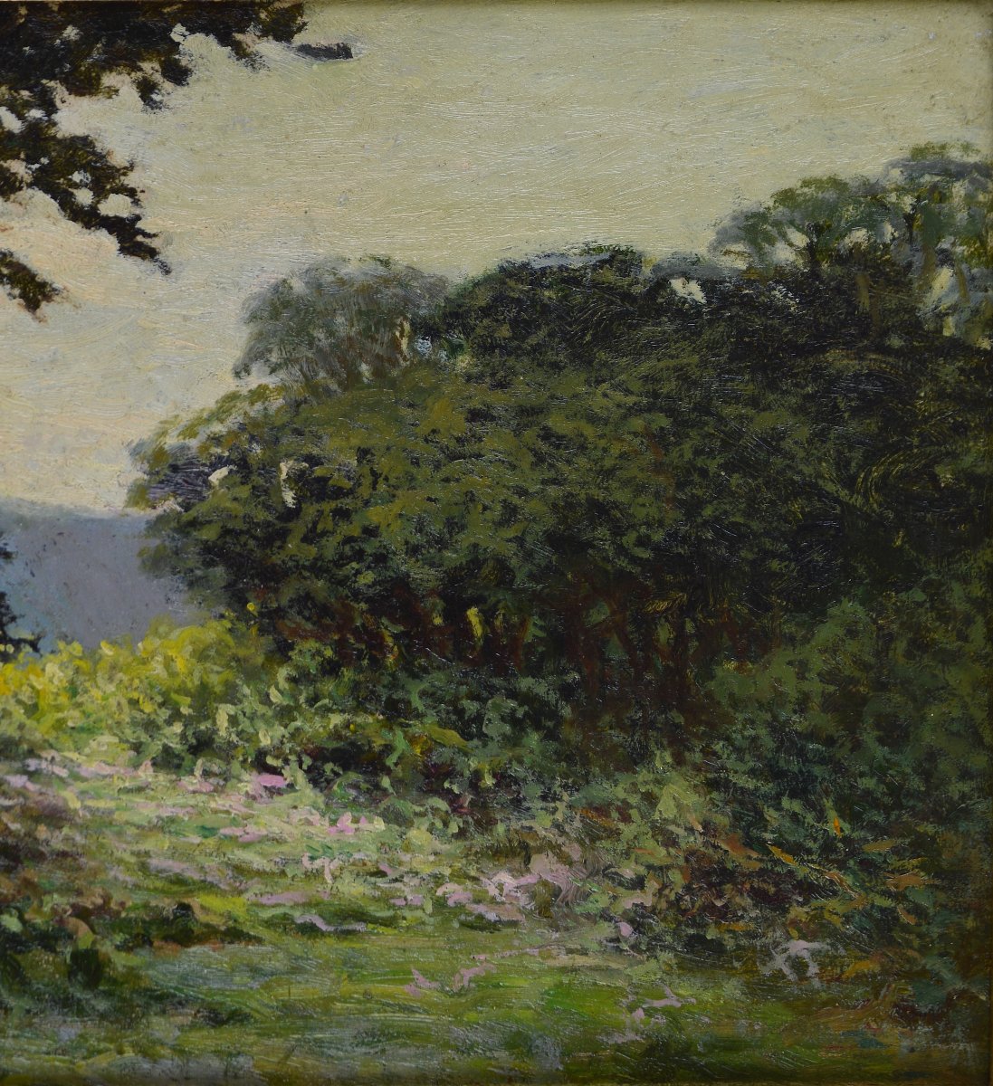 émile Demé, 19th/20th Century. “cornouillers Forest Near Tarbes.”-photo-2