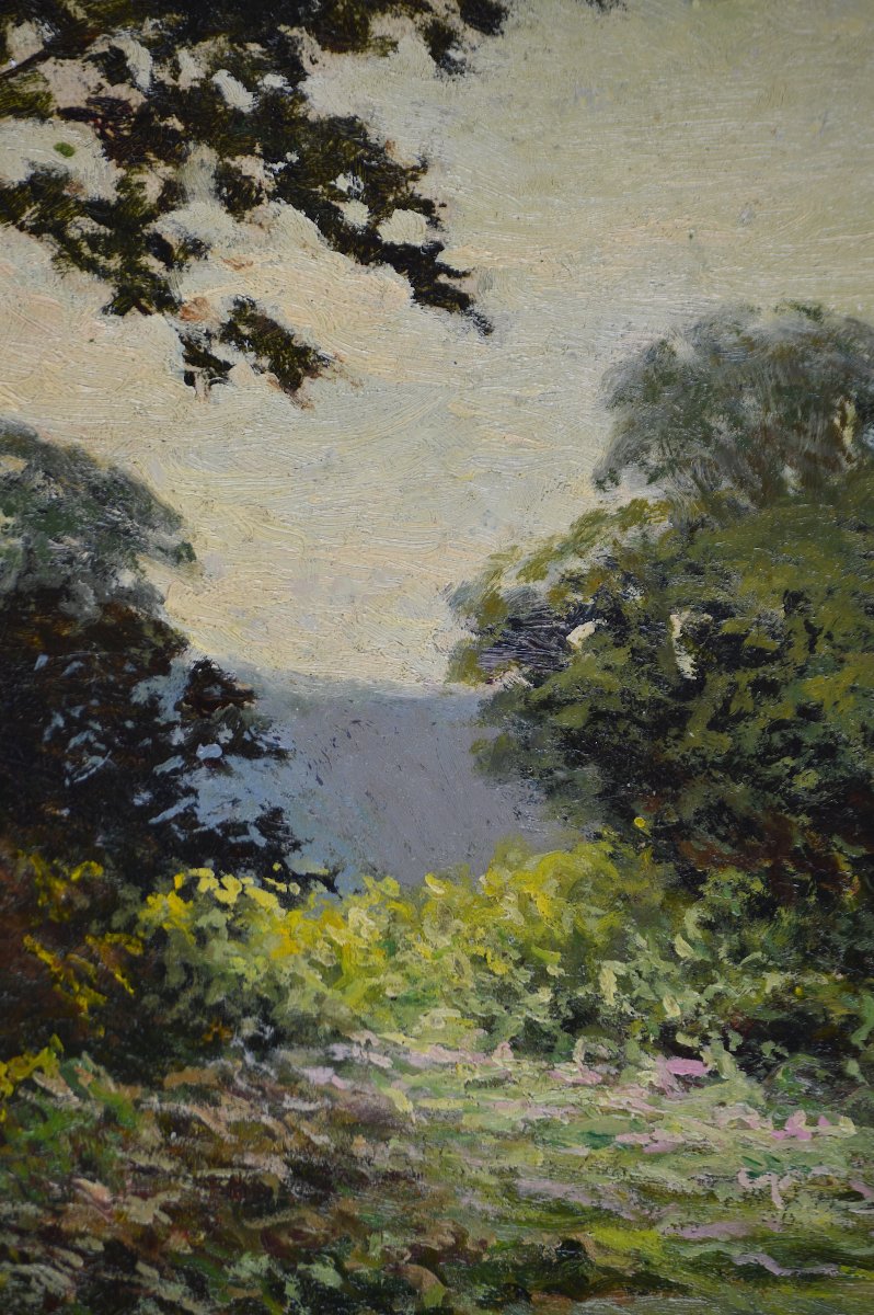 émile Demé, 19th/20th Century. “cornouillers Forest Near Tarbes.”-photo-3