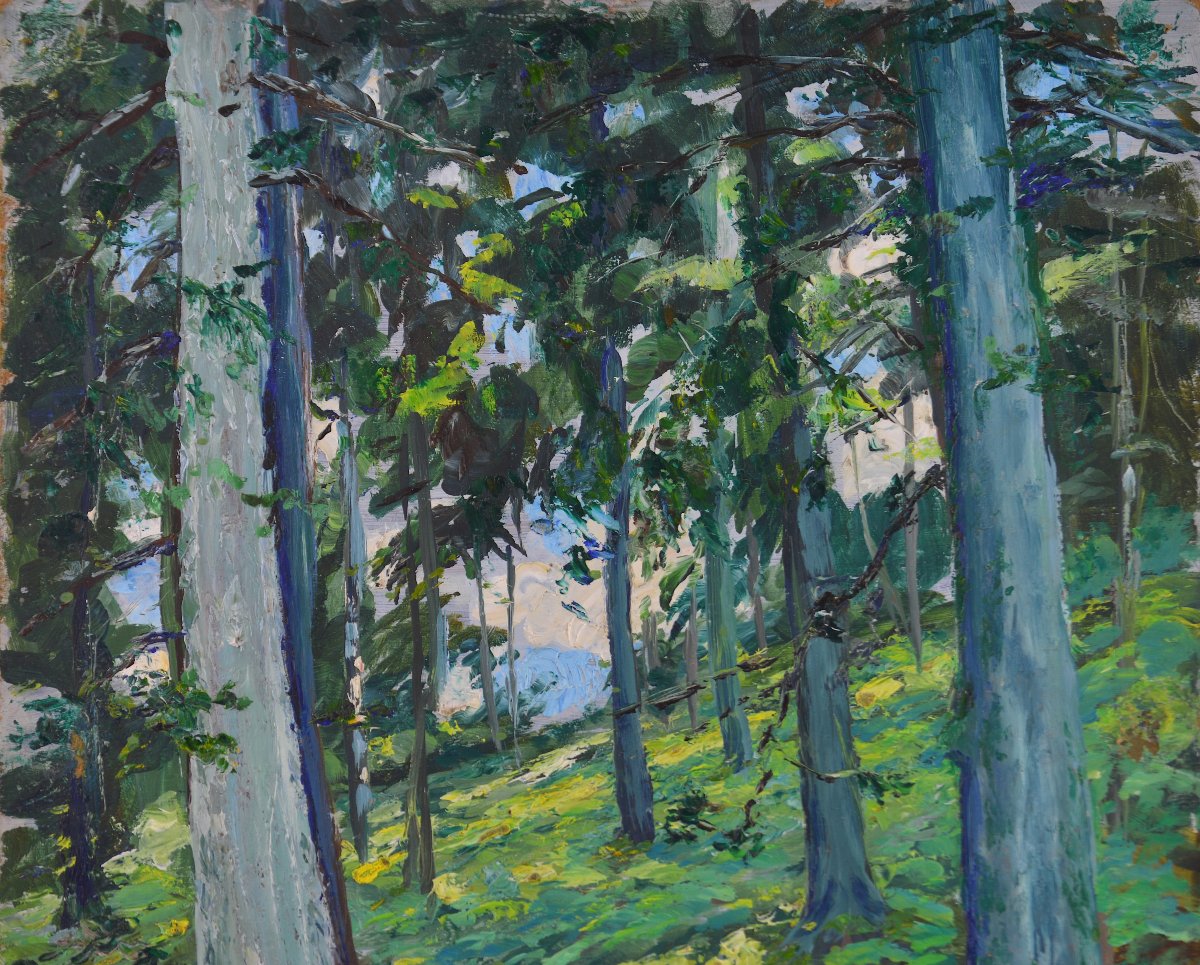 Adrien Dutrey, 19th/20th Century. "undergrowth."-photo-4
