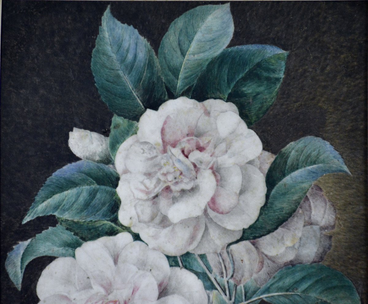 C.V. Van  Spaendonck 1756-1840. Attribué à. "Roses avec feuillage."-photo-3