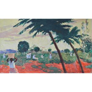Willem Van Hasslet 1882-1963. “Récolte des pois du cap à Madagascar..”