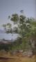 1814891-alb-6a96b06a8babf.jpg