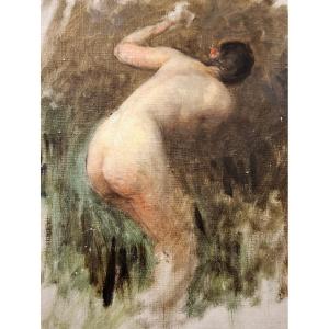 Nu féminin  Fin 19e début XXe Siècle