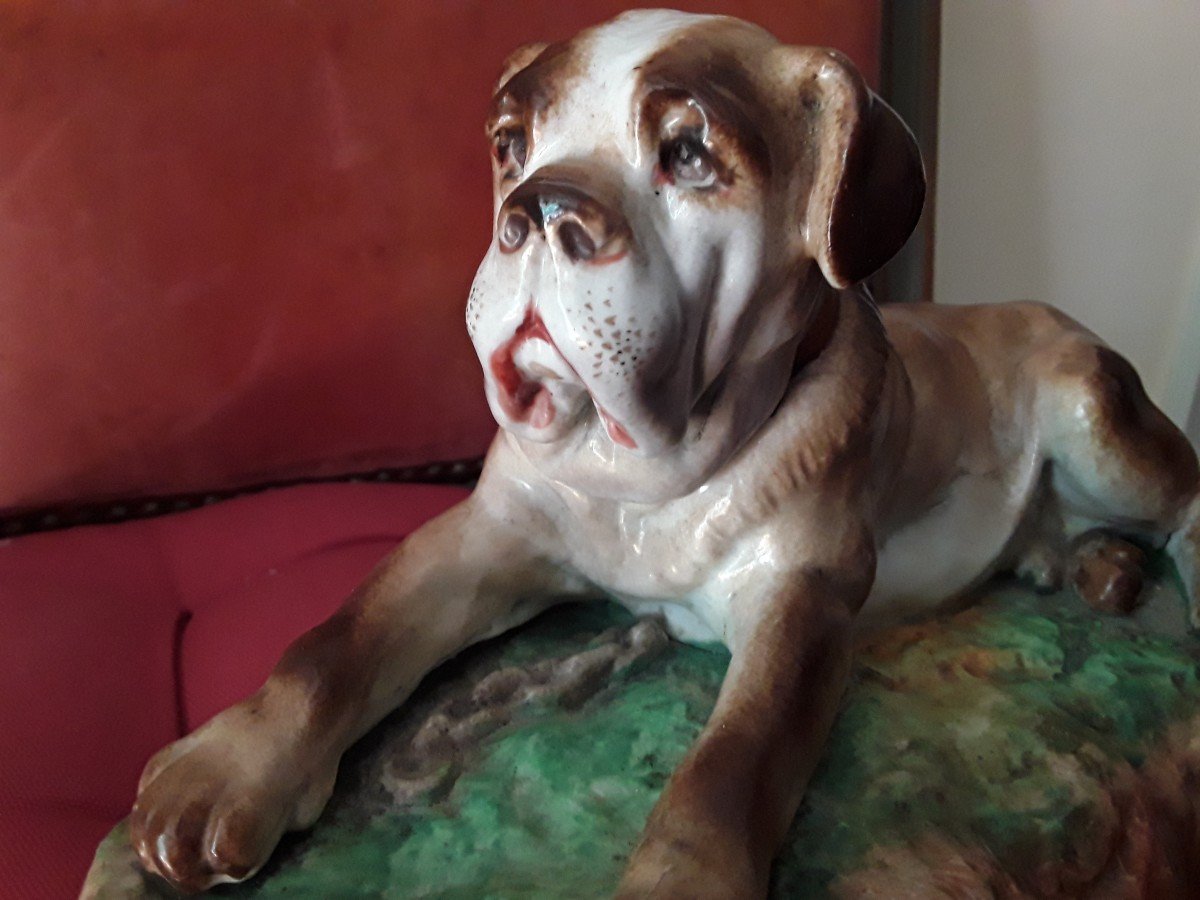 Meissen Figurine Chien Mastiff  En Porcelaine  Polychrome  Décor Au Naturel époque  19e Siècle -photo-3