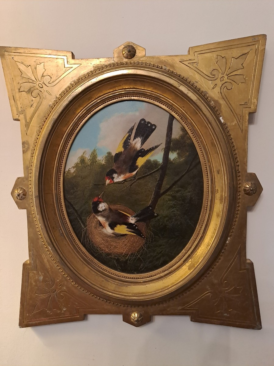 Pair Of Goldfinches At Nest Signed By Michelangelo Meucci Oil On Wood Panel 19th Century-photo-2