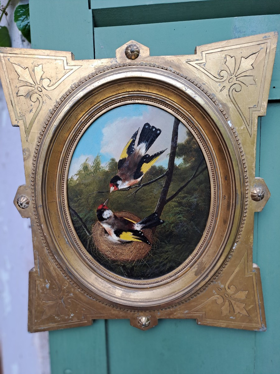 Couple de chardonnerets au nid signé  par Michelangelo Meucci  huile sur panneau de bois 19e 
