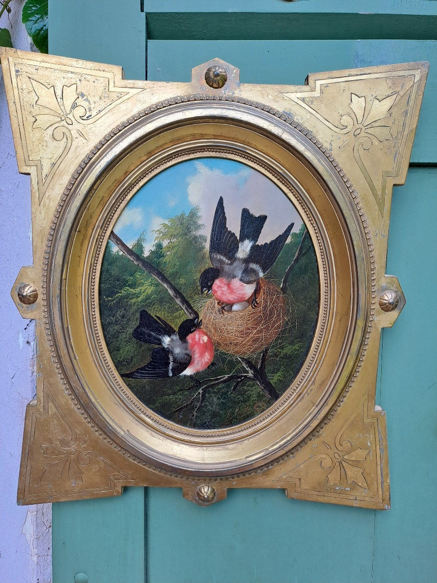 Couple Of Bullfinches In A Nest Signed By Michelangelo Meucci Oil On Wood Panel 19th Century