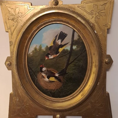 Premiere-Image-1753055