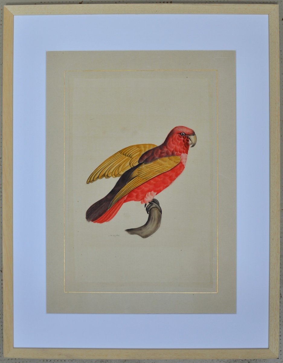 La Roche Laffitte (1943-) "the Parrots" Macaws Tropical Birds Paris Australia Usa Cockatoo -photo-8