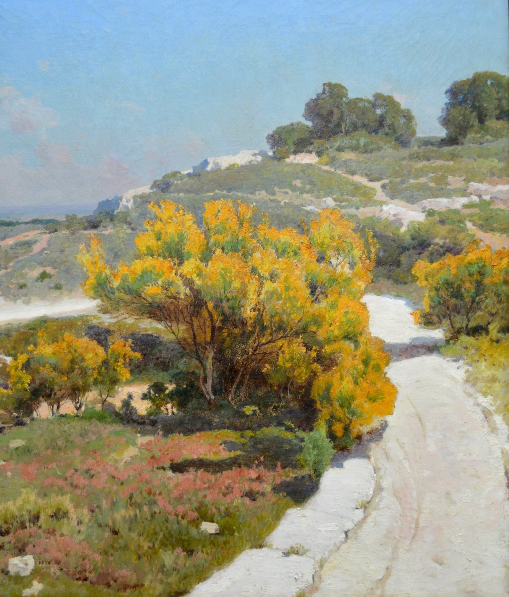 Decanis Théophile (1847-1917) “white Road In Provence” Marseille Martigues Alpilles Flowers-photo-1