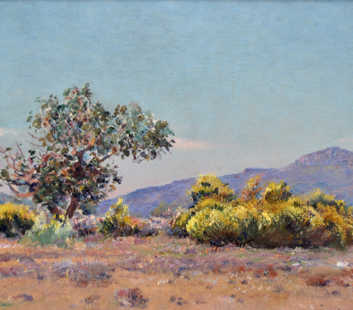 MONTENARD Frédéric (1849-1926) « Genêts en fleurs en Provence » Toulon Var Coudon Marseille -photo-3