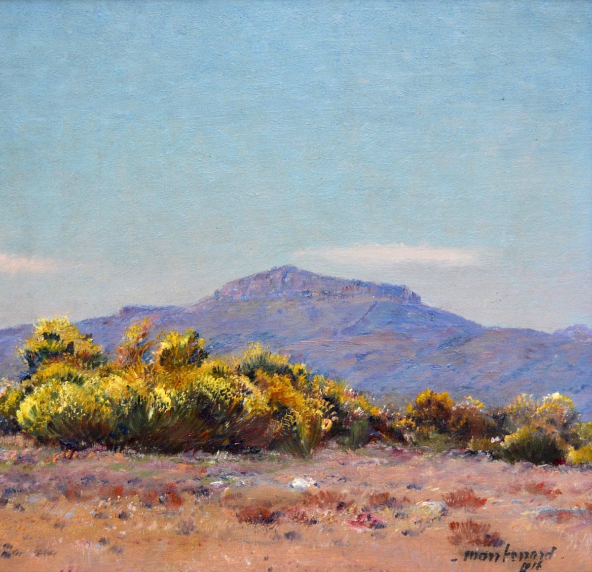 MONTENARD Frédéric (1849-1926) « Genêts en fleurs en Provence » Toulon Var Coudon Marseille -photo-2