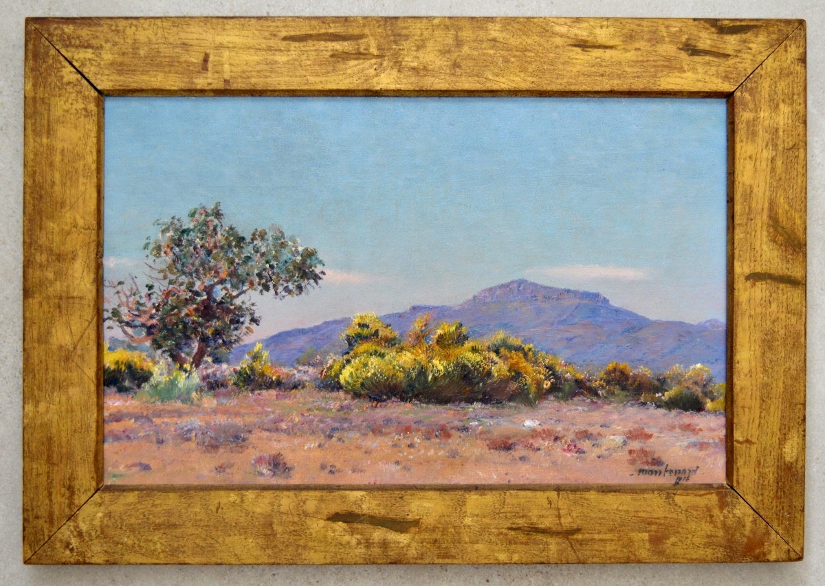 MONTENARD Frédéric (1849-1926) « Genêts en fleurs en Provence » Toulon Var Coudon Marseille -photo-4