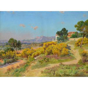 Decanis Théophile (1847-1917) "blossoming Broom In Provence" Marseille Aix Berre Décanis France