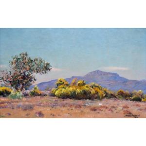 MONTENARD Frédéric (1849-1926) « Genêts en fleurs en Provence » Toulon Var Coudon Marseille 