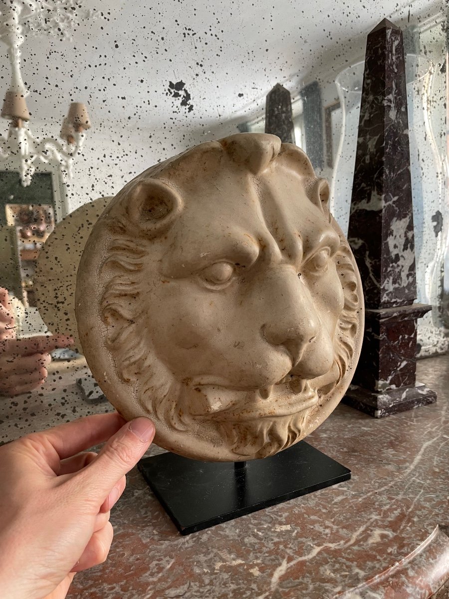 Napoleon III Lion Statue In Cast Iron Base -photo-3