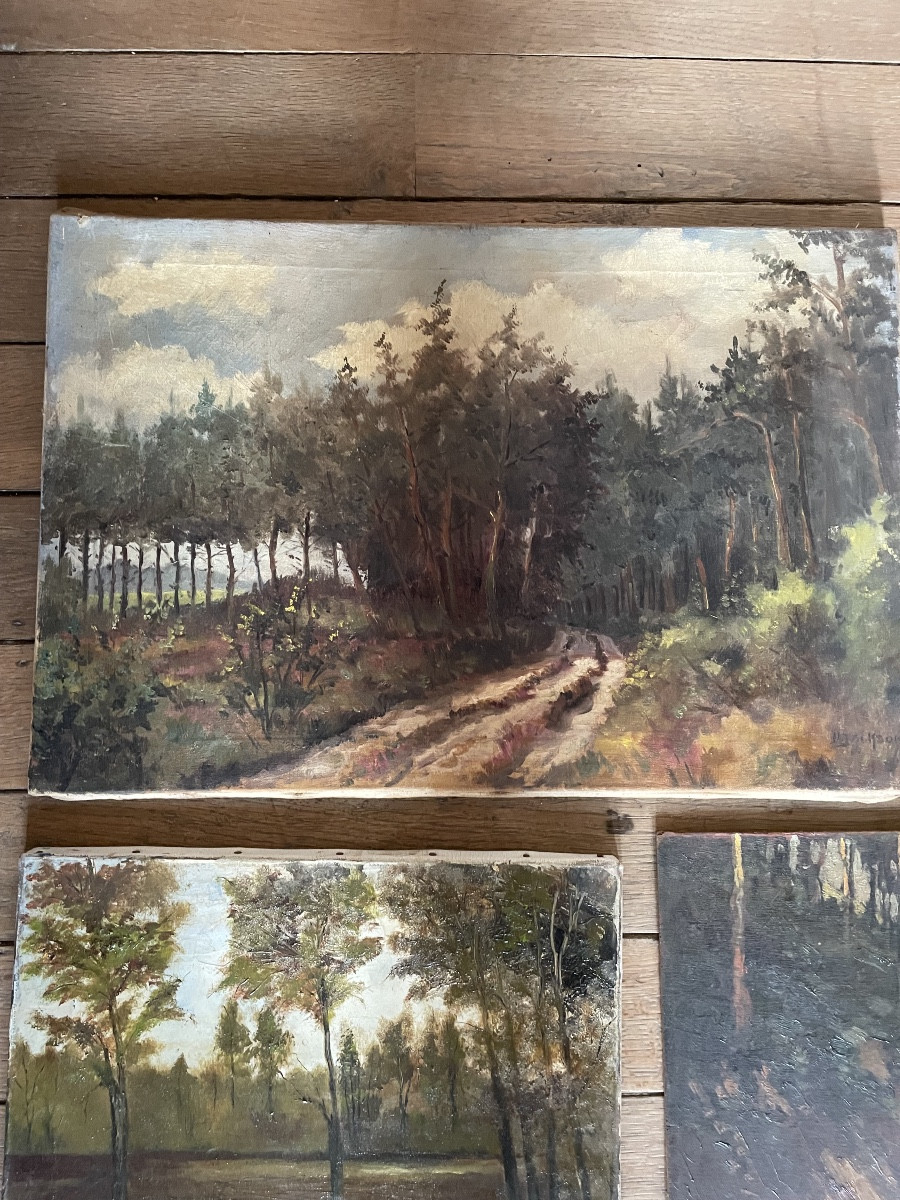 Collection Of Paintings, Forest Theme-photo-2