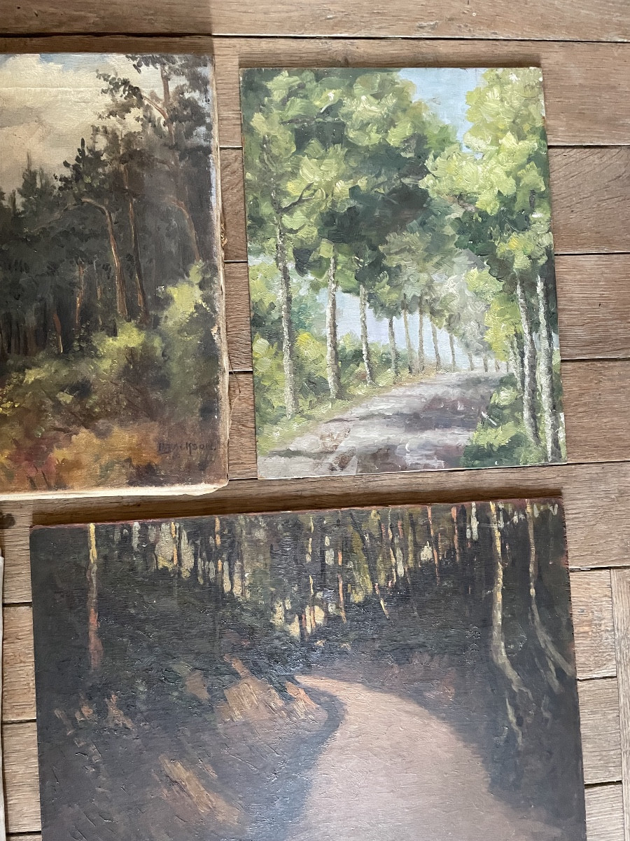Collection Of Paintings, Forest Theme-photo-3
