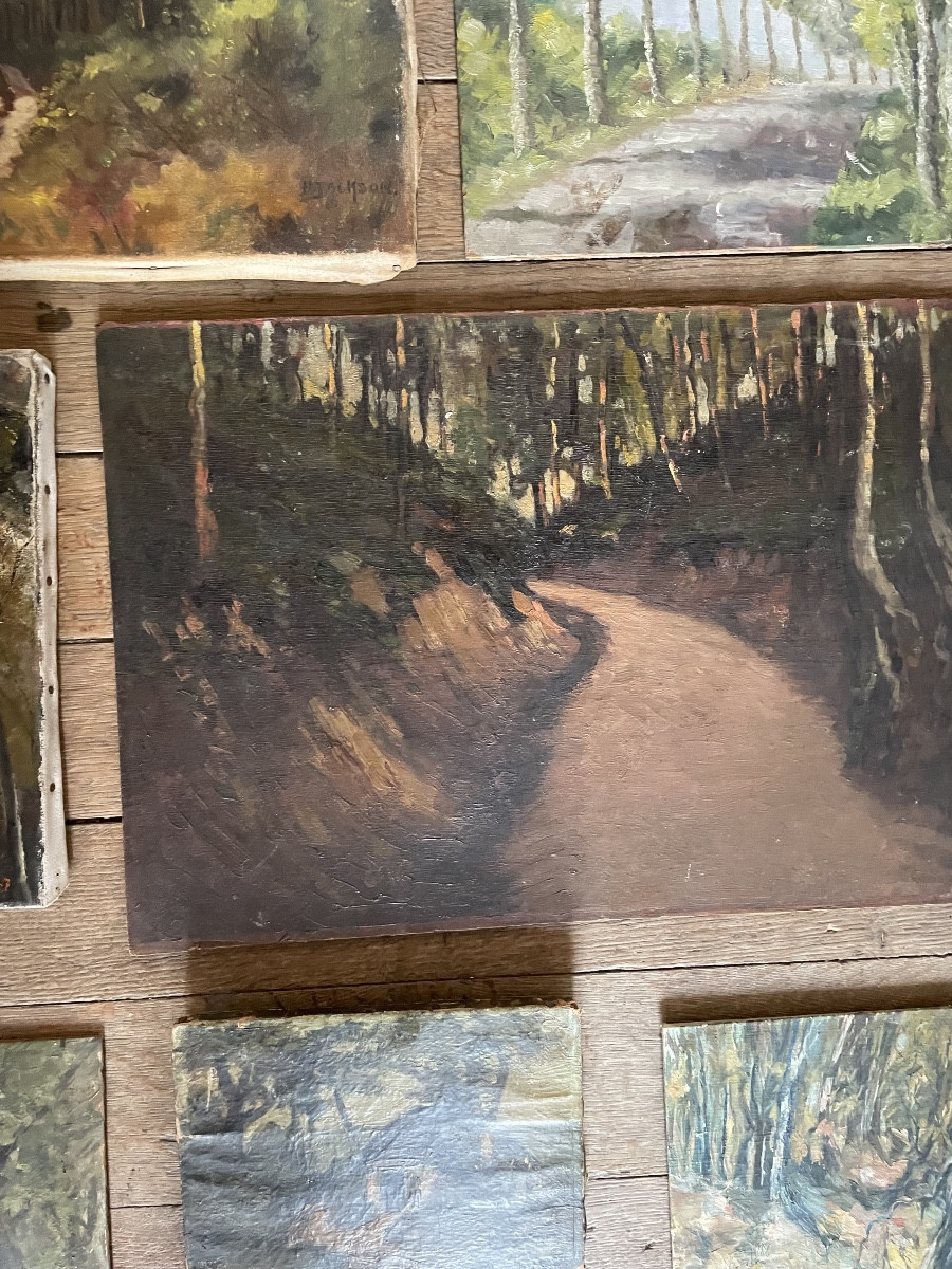 Collection Of Paintings, Forest Theme-photo-4