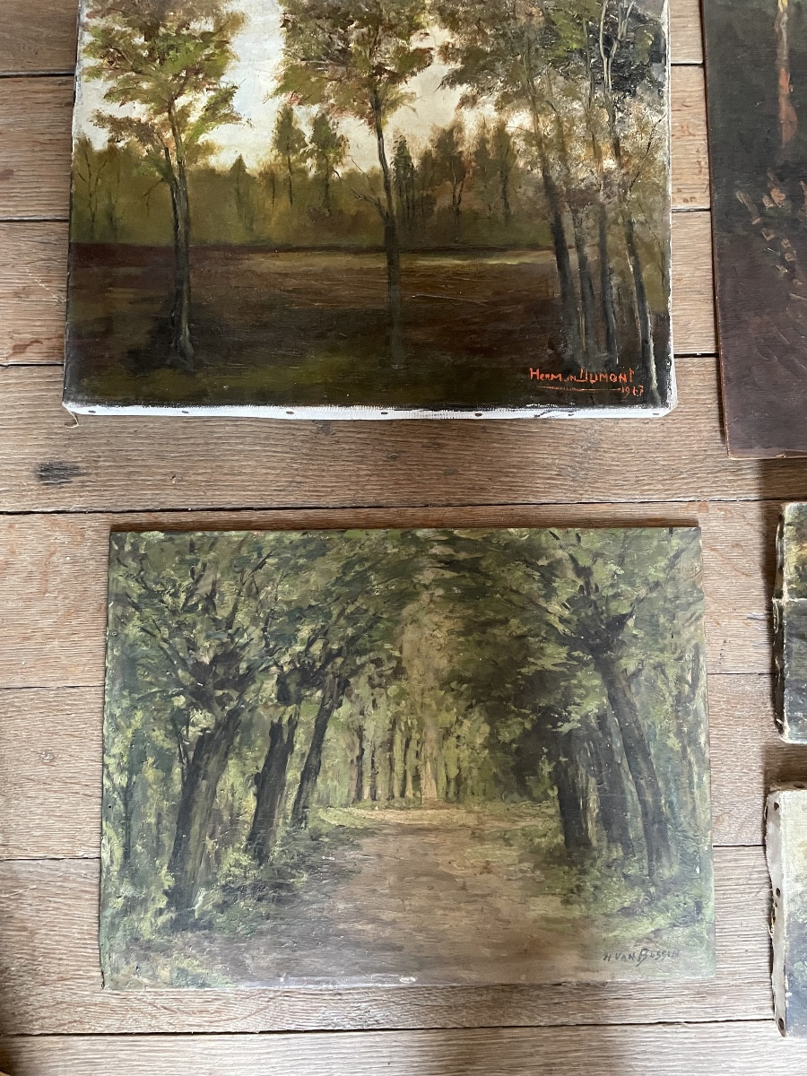 Collection Of Paintings, Forest Theme-photo-1