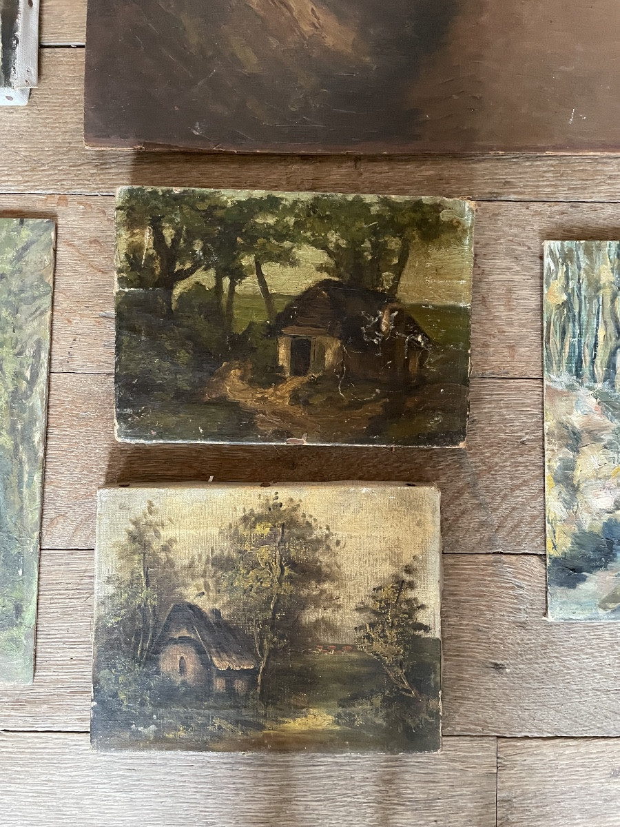 Collection Of Paintings, Forest Theme-photo-2