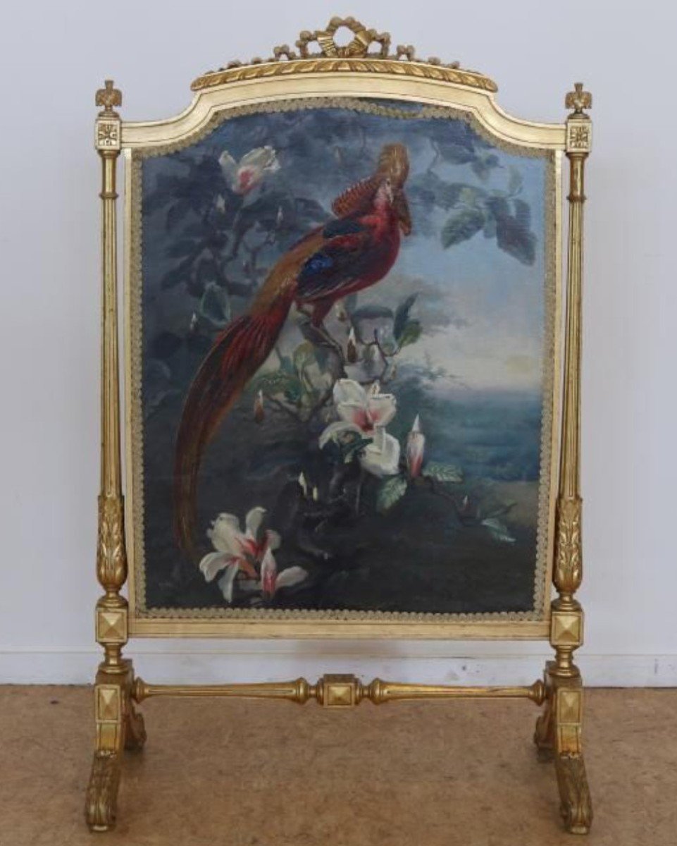 Fireplace Screen In Gilded Wood With Louis XVI Painted Pheasant