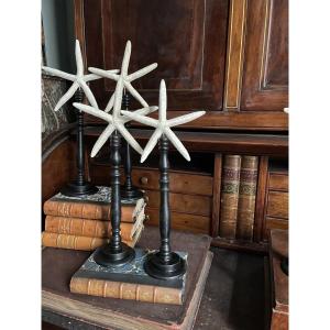 Set Of 4 Starfish On Wooden Base