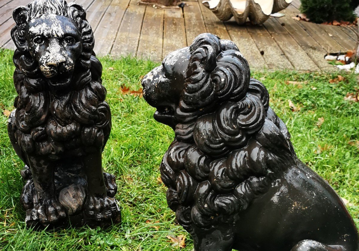 Pair Of Sitting Lions-photo-1