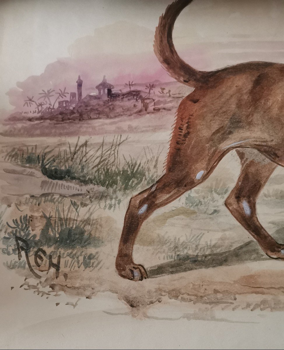 Animal Watercolor Representing Bush Dogs-photo-3