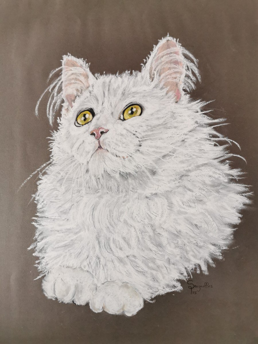 Portrait de chat par Seignolle