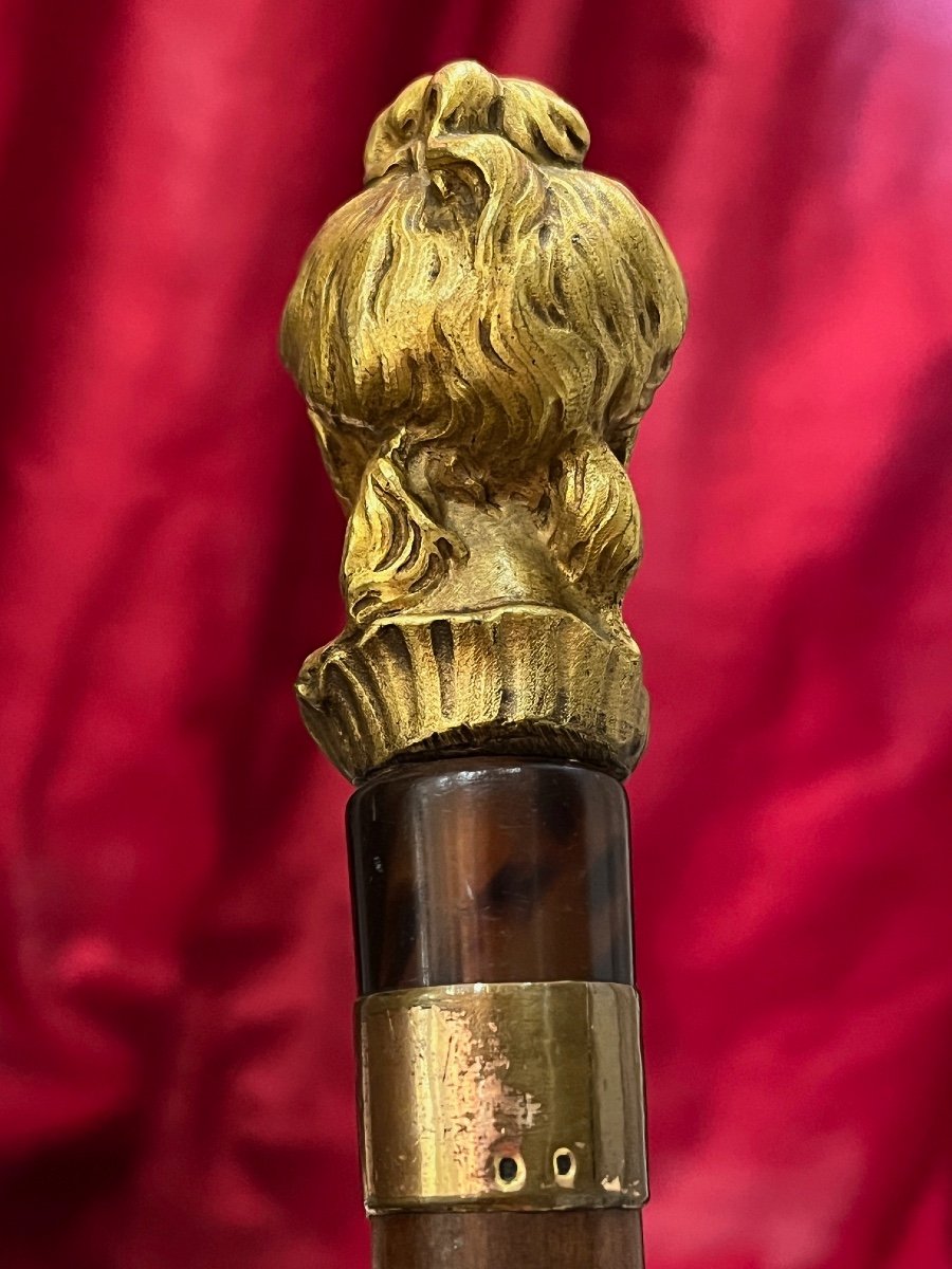 Beautiful Woman's Cane In Mahogany Wood With Head Of Woman In Gilded Bronze-photo-3