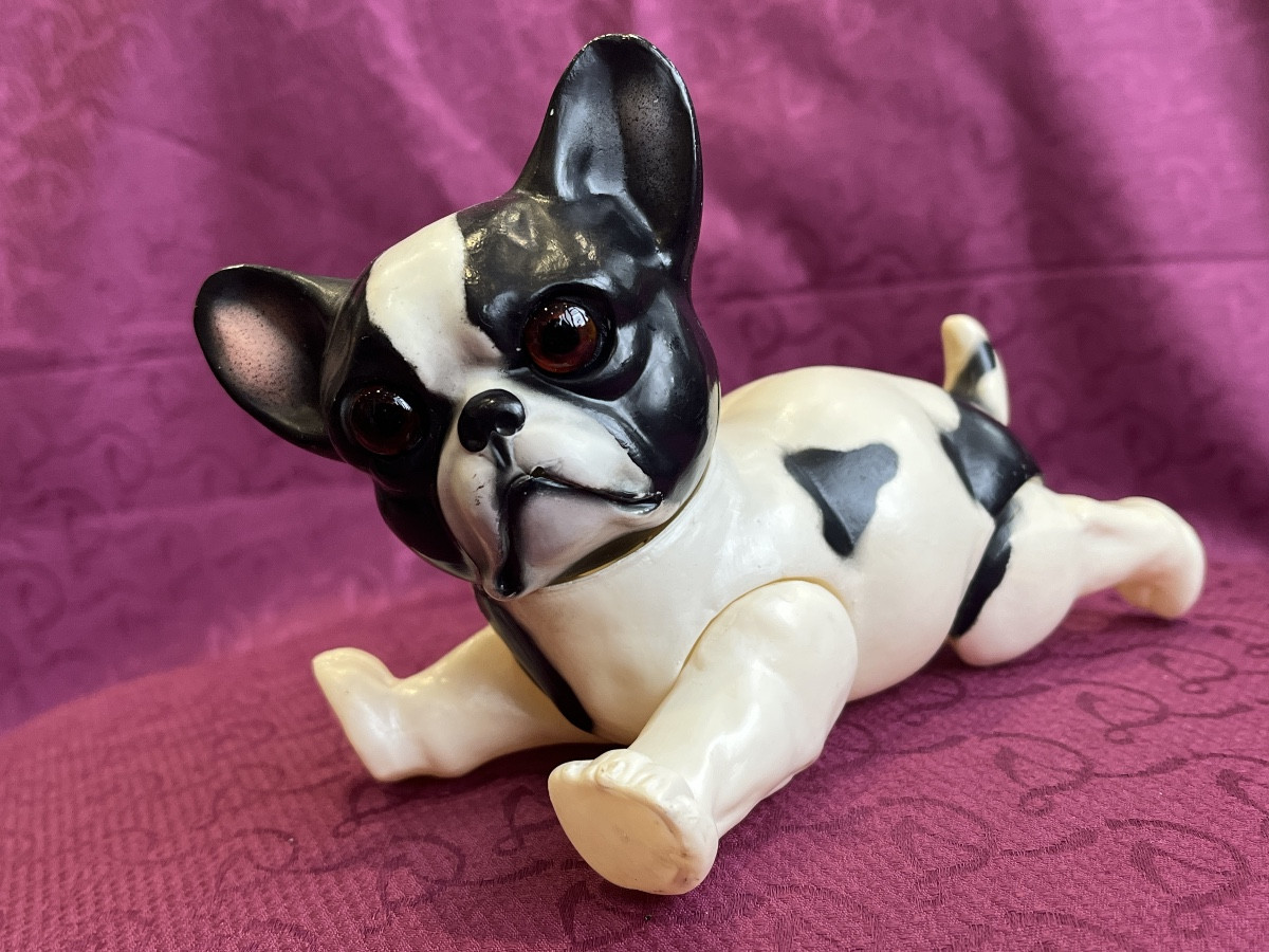 Rare Bouledogue Français En Celluloïd Fabriqué Par Juno-photo-2