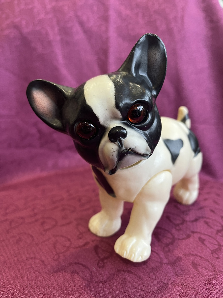 Rare Bouledogue Français En Celluloïd Fabriqué Par Juno-photo-3