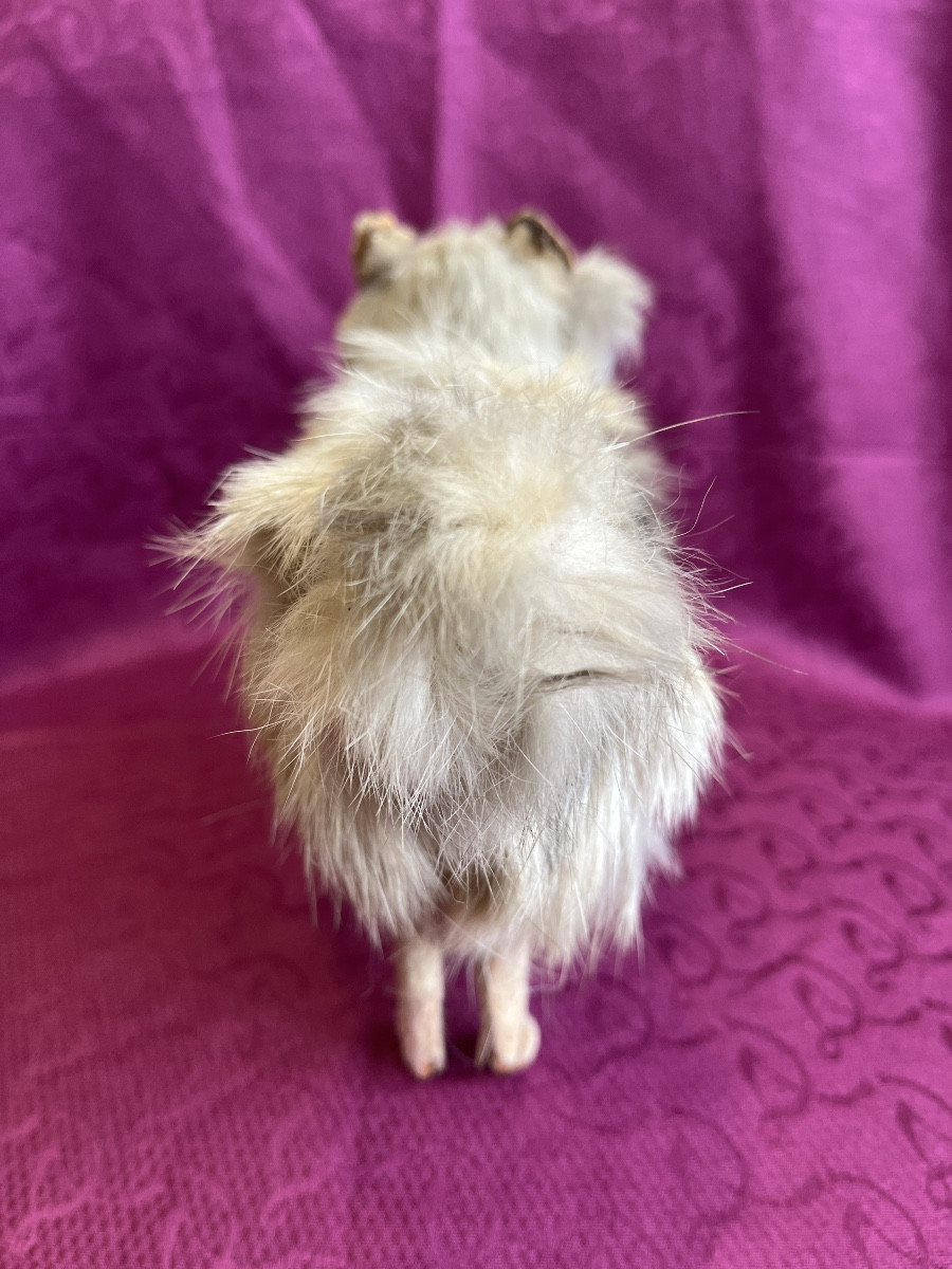 Loulou Dog For French Fashion Doll-photo-3