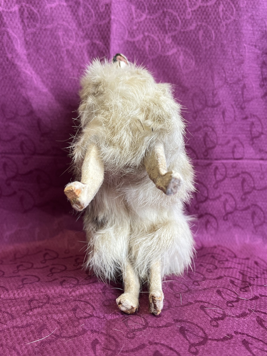 Loulou Dog For French Fashion Doll-photo-1