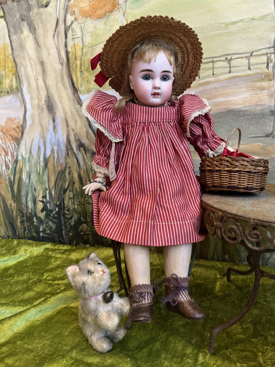 Charmant Bébé STEINER  "Le Petit Parisien" A7-photo-2