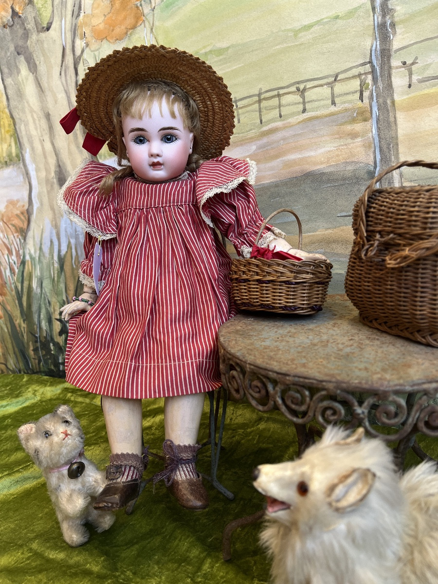 Charmant Bébé STEINER  "Le Petit Parisien" A7-photo-6