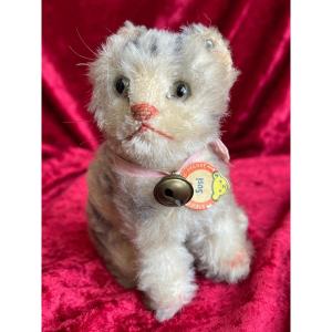 Adorable Susi Cat By Steiff With Original Label