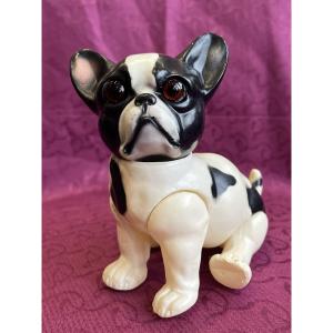Rare Bouledogue Français En Celluloïd Fabriqué Par Juno