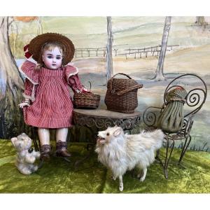 Charmant Bébé STEINER  "Le Petit Parisien" A7