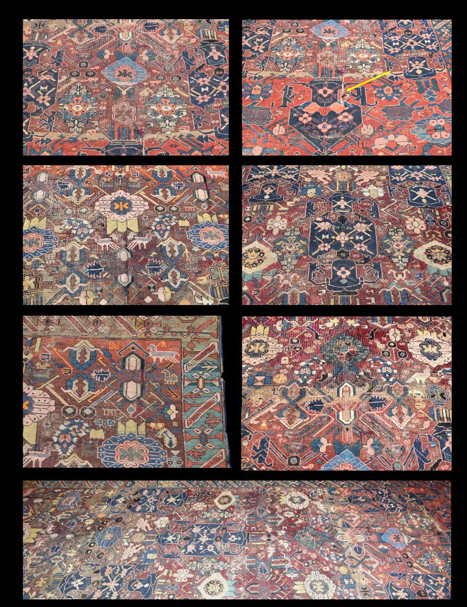 Tapis Caucasien Shirvan Tchi-tchi Ancien : 3.25 X 1.40 Mètres-photo-5
