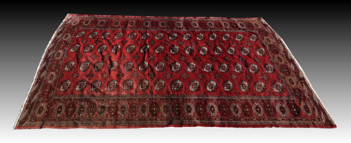 Tapis d'orient Boukhara Turkmène : 310 x 220 Cm -photo-4
