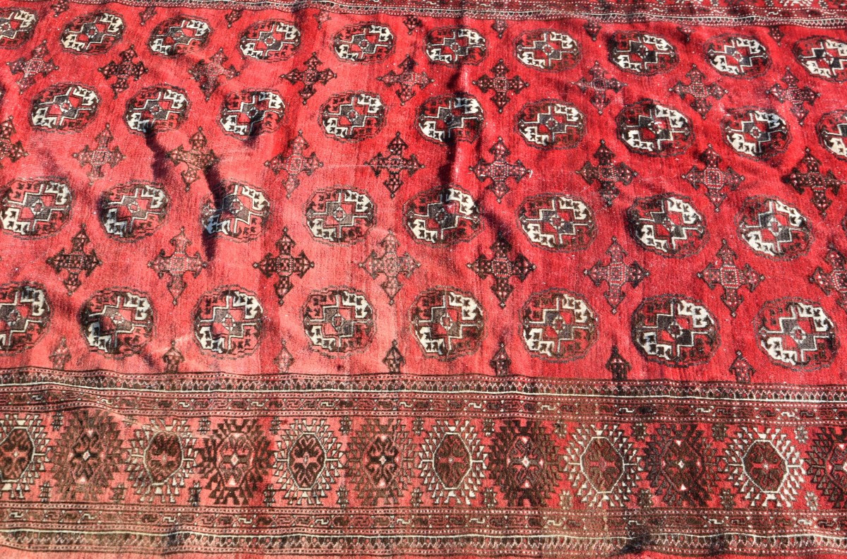 Tapis d'orient Boukhara Turkmène : 310 x 220 Cm -photo-3