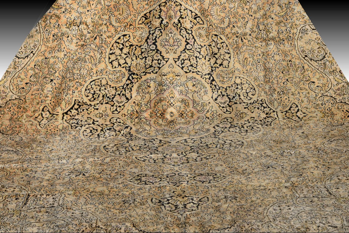 Grand Tapis d'Orient Kashmir  Soie-   Dim: 3.95 X 2.75 Mètres -  Inde - "Galerie Sardje"-photo-6