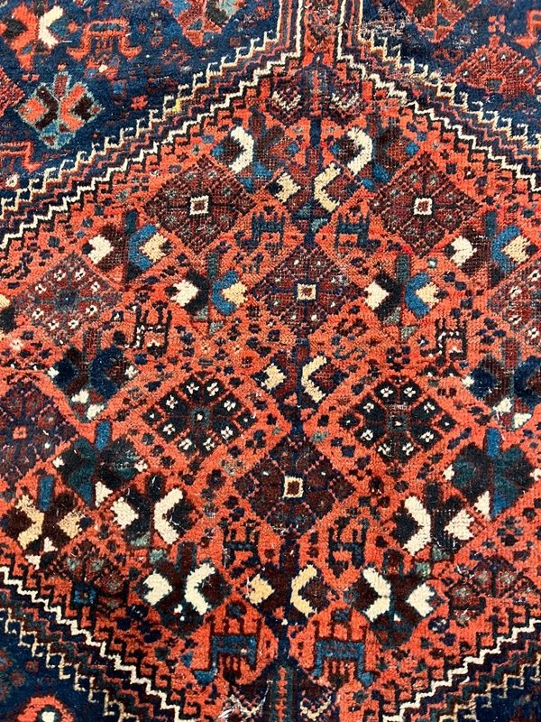 Tapis d'orient Iran Shiraz, Gashghaï ancien –: 220 x 315 cm "Galerie Sardje"               -photo-3