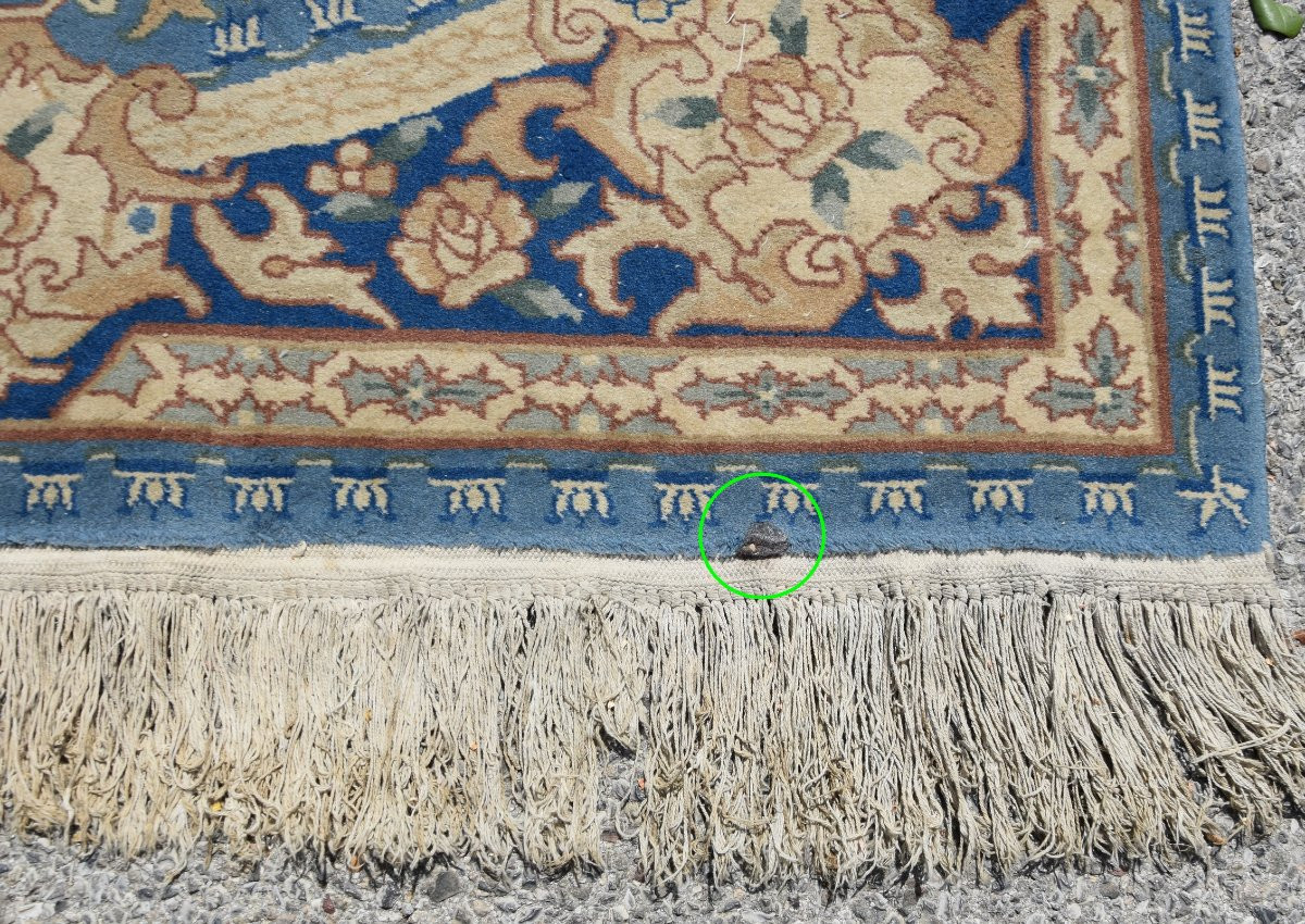 Tapis d'orient Indo-Savonnerie - 122 x 180 cm - "Galerie Sardje"-photo-6
